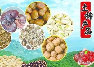 2018年陜西供銷·合陽年貨大展銷 品味農副土特，喜迎新春佳節